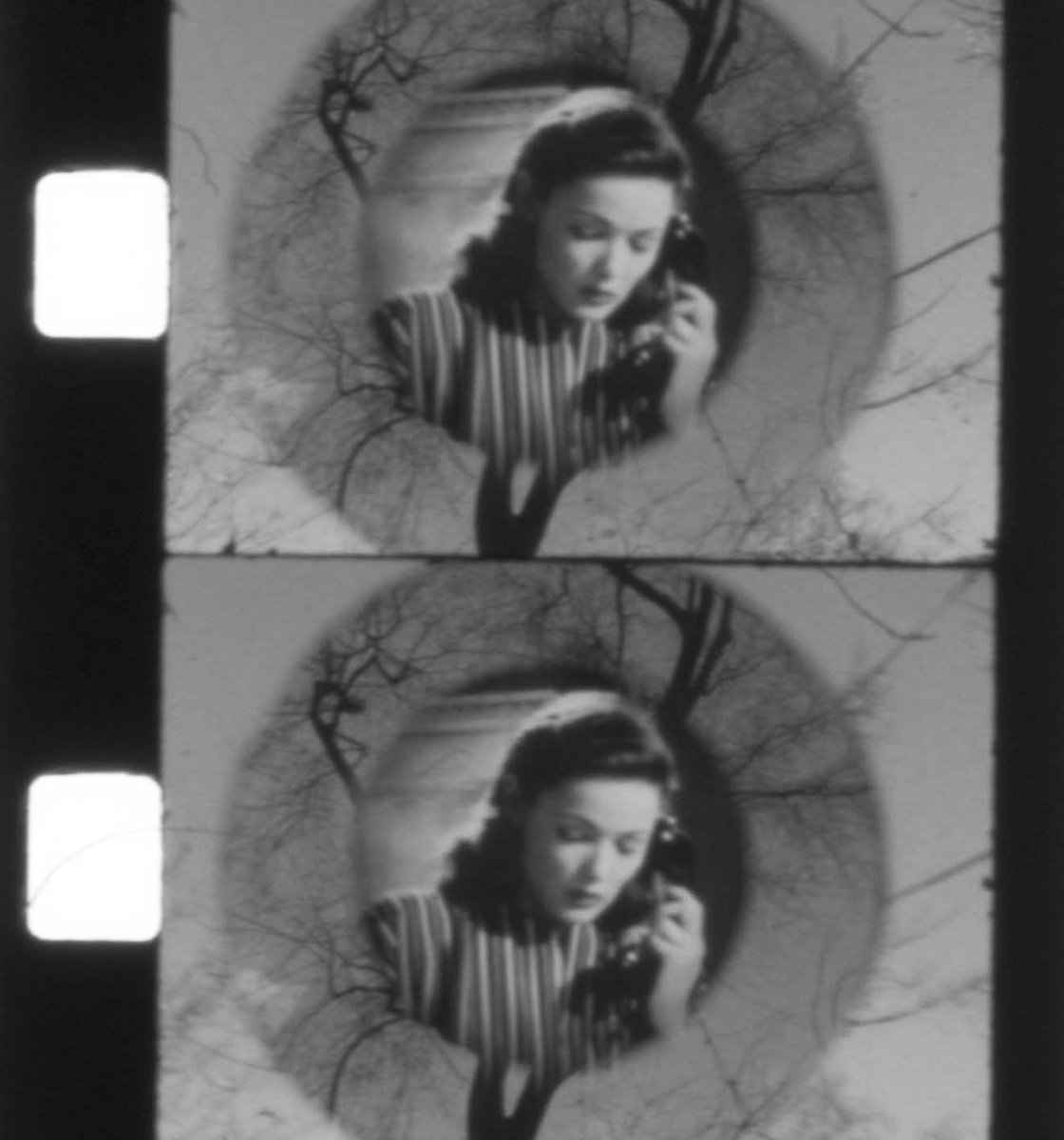 the8fest tweet media