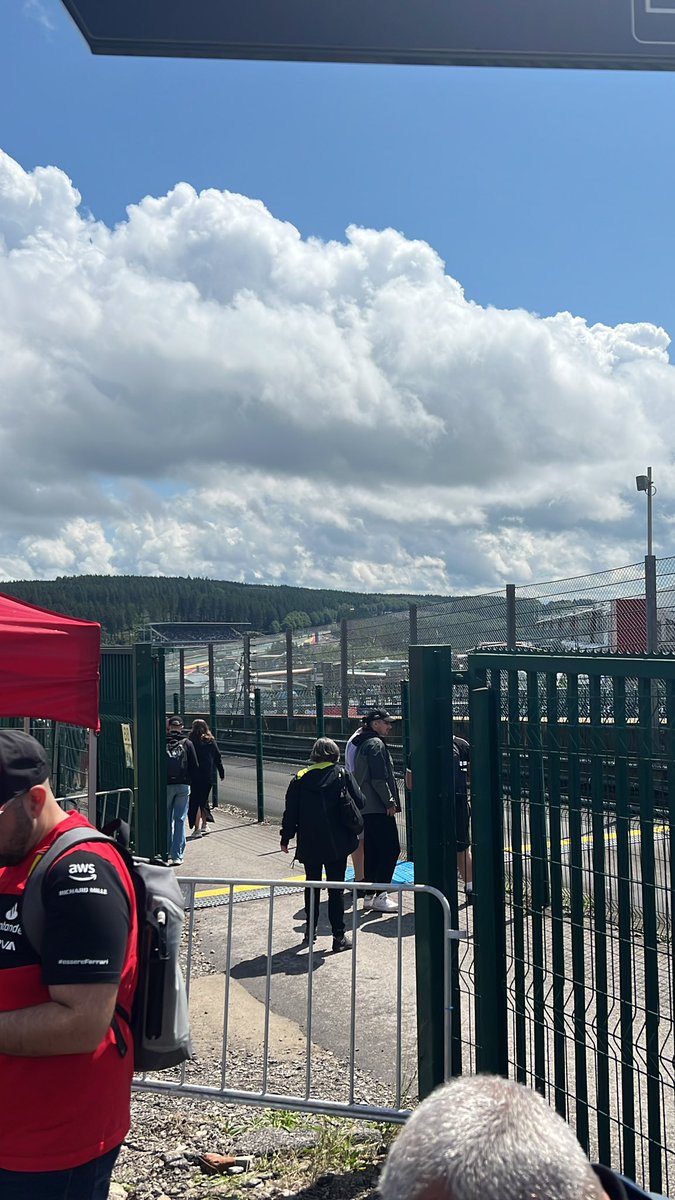 bink 🏌️ tweet media