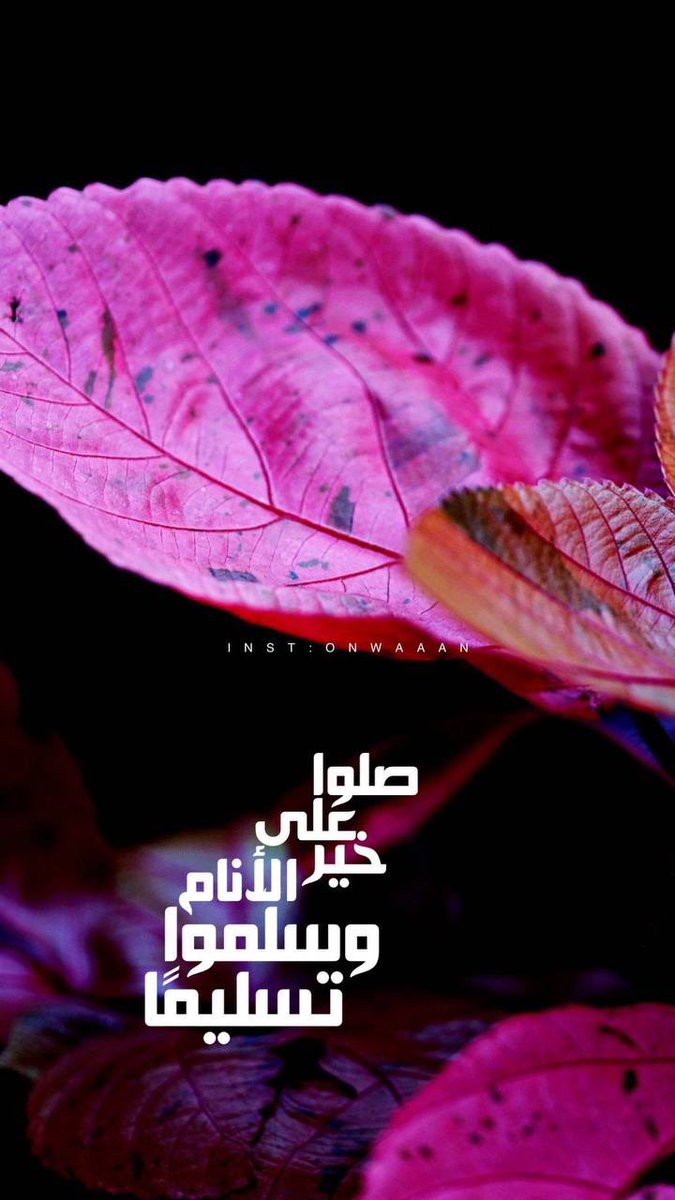 Onwaan's tweet photo. #صلوا_على_الحبيب_محمد_ﷺ https://t.co/er3wHFfVad
