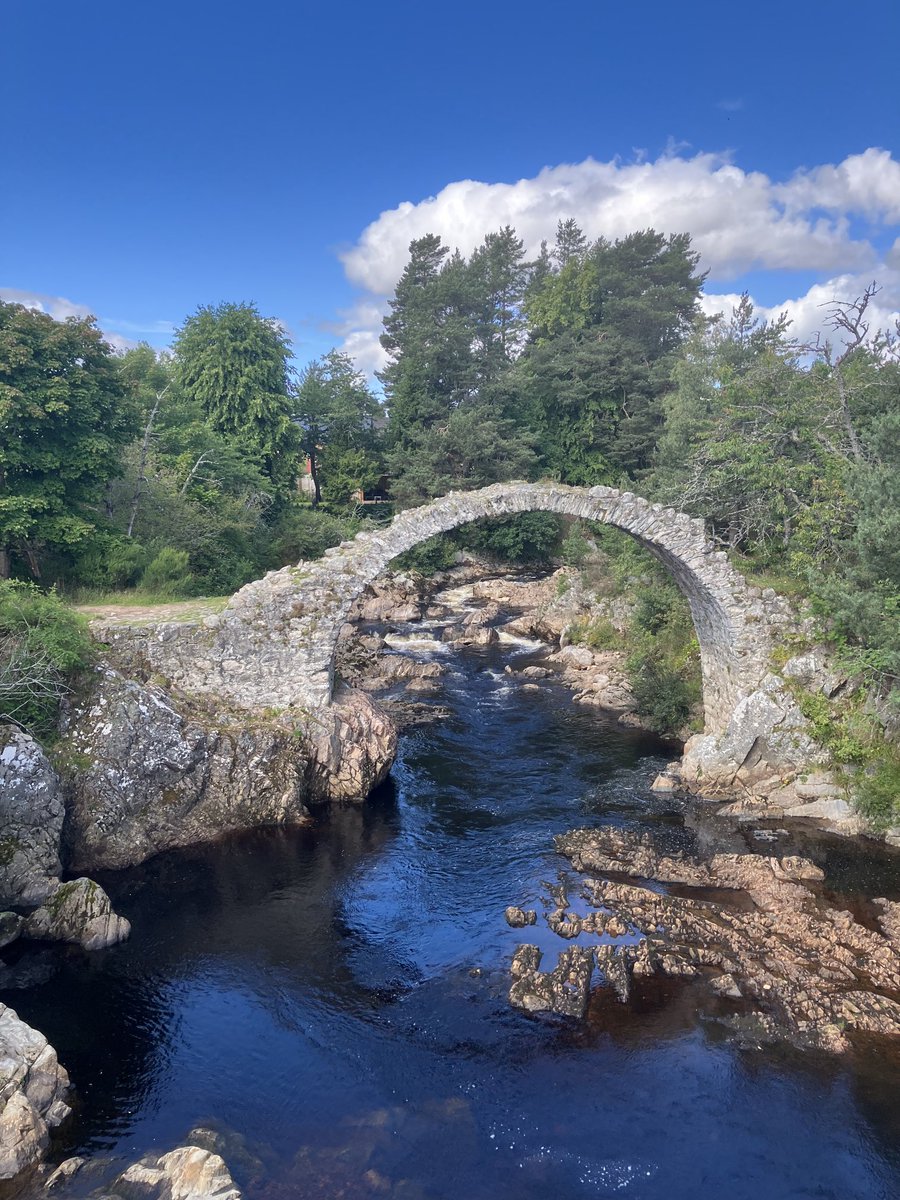 Prof. Lee Machado tweet media