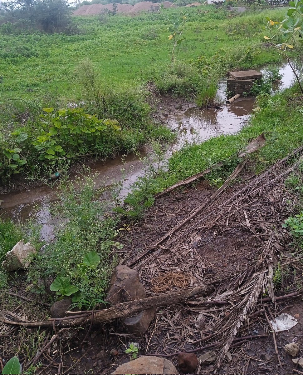 sbengg11's tweet photo. needs urgent cleaning n pipe fitting,
dirty slushy n filthy,i v repaired it 2ce spendin around 30-40K bt cows,buffalos,pigs n camels hv damaged it
Siddharth society deolameti wadi
@Sameer_Meghe @AjayJai91590190 @Dev_Fadnavis @CMOMaharashtra @BJP4Maharashtra @PMOIndia @OfficeOfNG https://t.co/YWEGQqWf3b