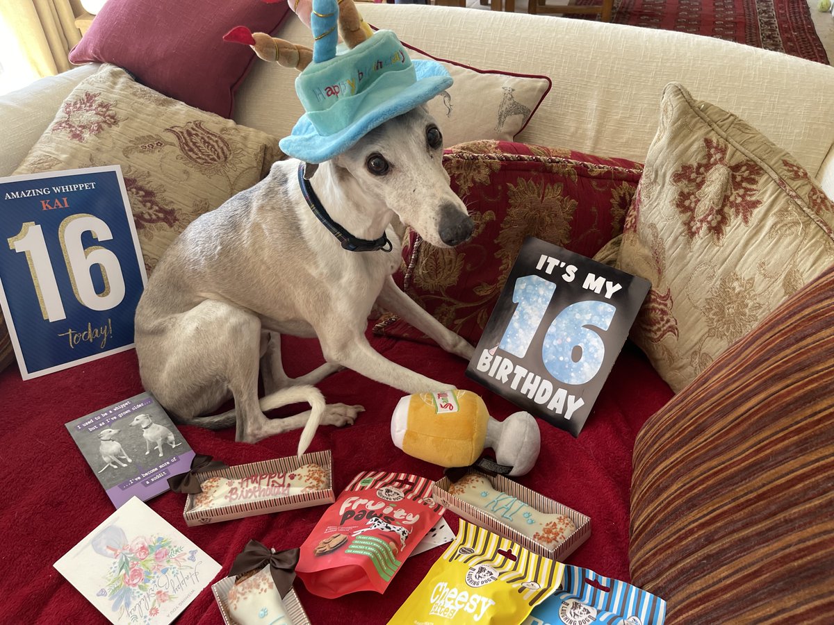 casalindi's tweet photo. 16🎉🎁16🎉🎁16🎉🎁16

Hooray Hooray I’m 16 today🎁🎉🎁🎉🎁

Please wish me a Happy Birthday 🎂🎁🎊🎉🎂🎁 https://t.co/pcZFctykol
