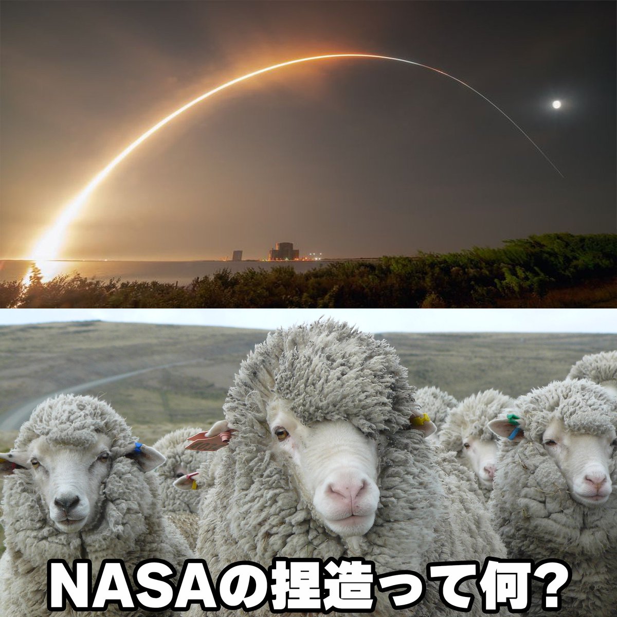 フラットアース🌎❌ (@FlatEarth_TW) on Twitter photo 2023-07-29 11:47:26