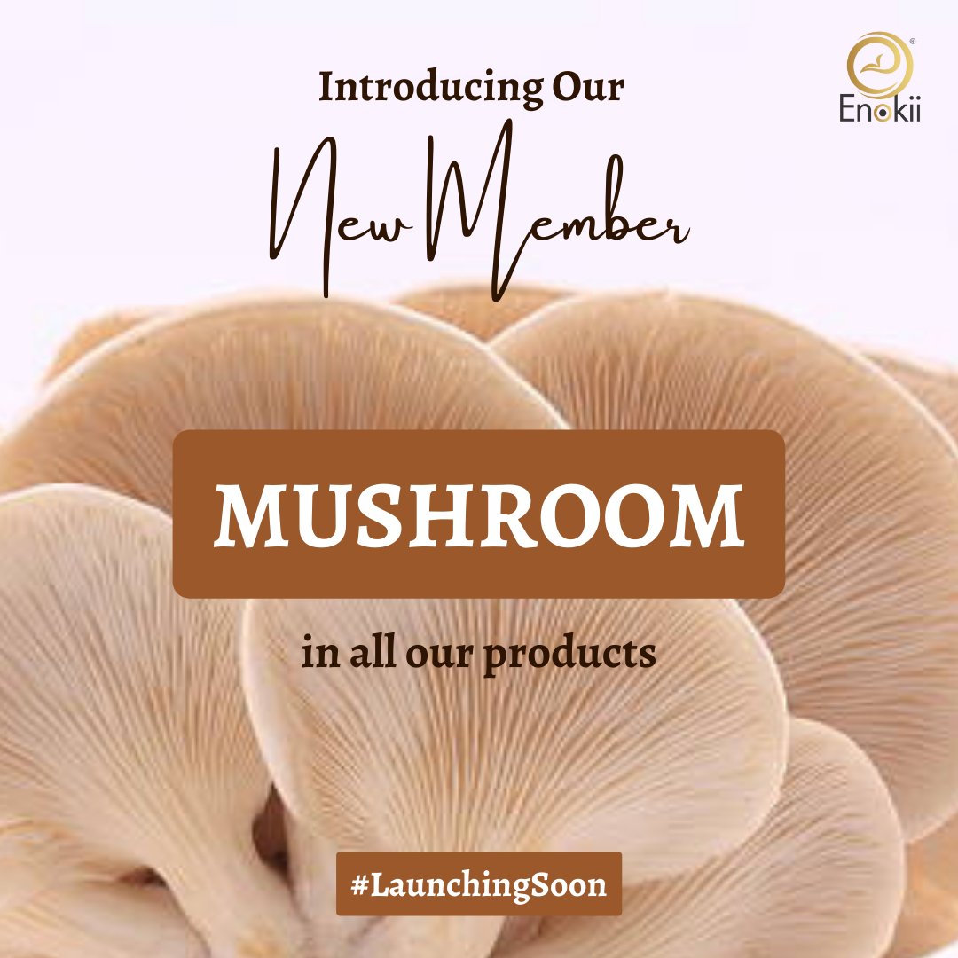 EnokiiC's tweet photo. Revealing the goodness of mushroom! Enokii brings the most innovative solution for your skin problems. #staytuned personal care products infused with mushroom extract
#enokii #enokiiskincare #effectiveenokii #skincare #newlaunch #somethingnew #mushroomskincare #mushroom https://t.co/AxSdVbQ5yG