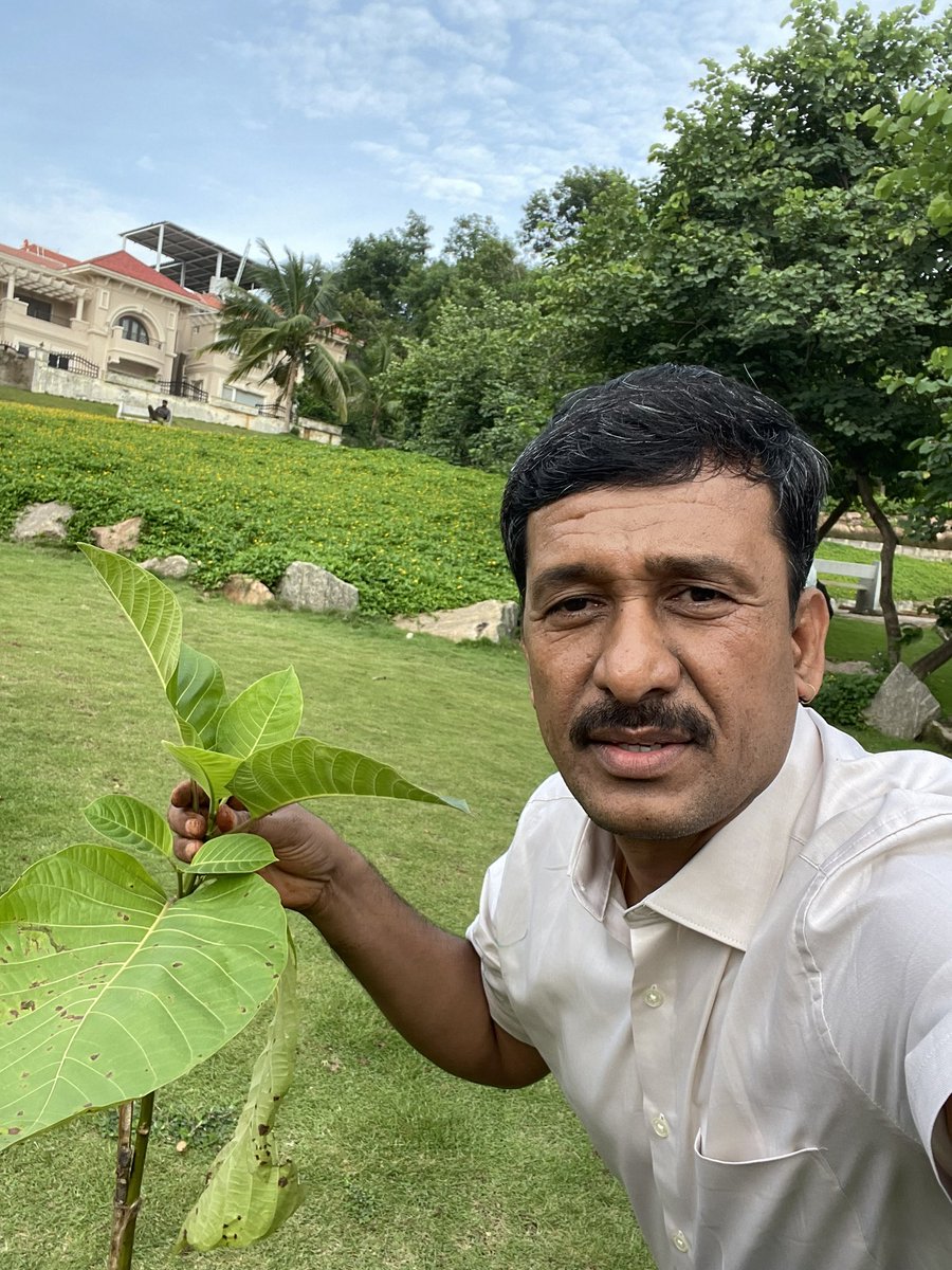 balaram_irs's tweet photo. 🪴🌳 Celebrating my birthday by contributing to a greener future! 🌱🌿 Planted a tree sapling as part of the @SantoshKumarBRS sir  #GreenIndiaChallenge. 

Let's nurture nature together for a sustainable planet! Join me in this green journey. #BirthdayCelebration 
#PlantATree https://t.co/Qmsd5oNAgL
