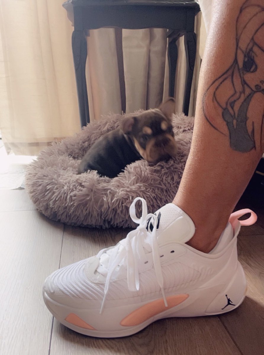 Sharron-lee Honey 🐠🐟🐡🇺🇦❤️ tweet media