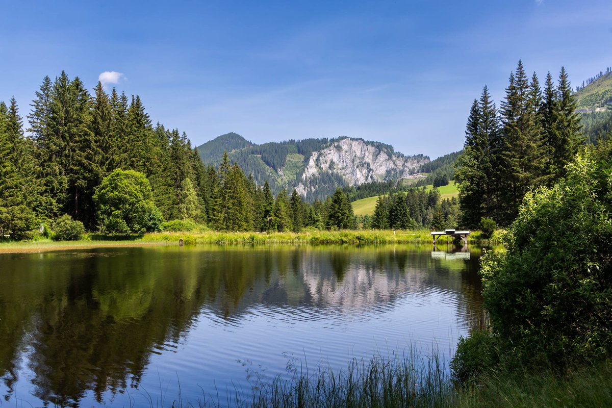 SvenGrabe's tweet photo. Wasser-Idyll.
#Alpen #Bergseen #Alpenidyll https://t.co/q9t9Vq6302