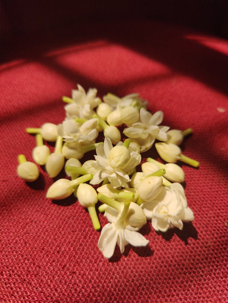 Bhoothayi's tweet image. #RandomPics