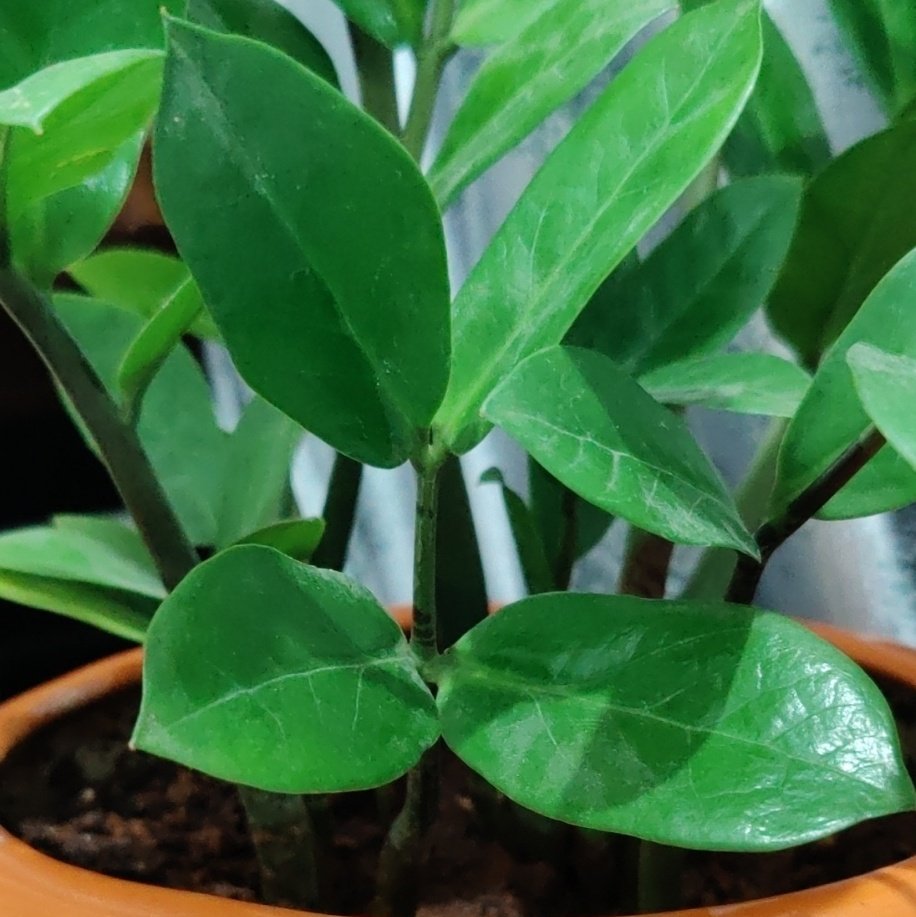 Bhoothayi's tweet image. #RandomPics