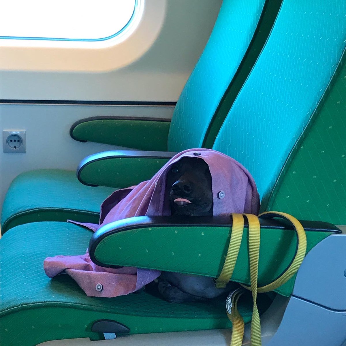 Voisko @VRmatkalla palkata jonku valokuvaajan kuvaamaan juniinsa kesäviikonloppuka ja toteuttaa ”Lemmikkivaunussa on tunnelmaa” valokuvanäyttelyn asemillaan? Ja lisäksi joukkoistaa pyytämällä matkustajia lähettämään parhaat lemmikkivaunukuvansa #lemmikkivaunu #vrmatkalla