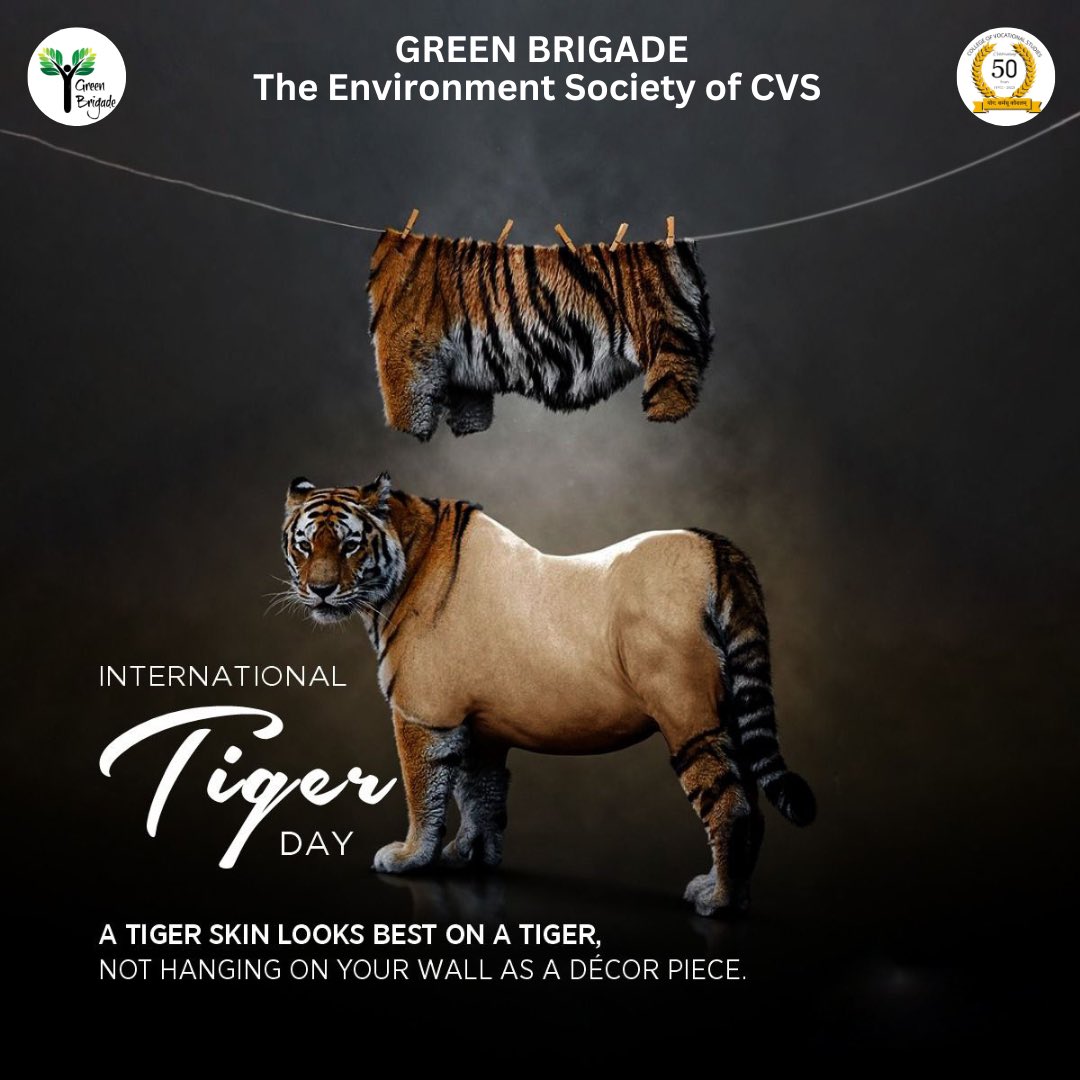 _GreenBrigade's tweet photo. 🐅🌍 On #InternationalTigerDay, let's unite for tiger conservation and habitat protection. #CoexistWithNature to #SaveOurTigers and maintain biodiversity. Together, we can secure a greener future for our planet and cherish these majestic creatures. 🌿🌳🤝🌎 #WildlifeConservation https://t.co/q5yXpSNwUY
