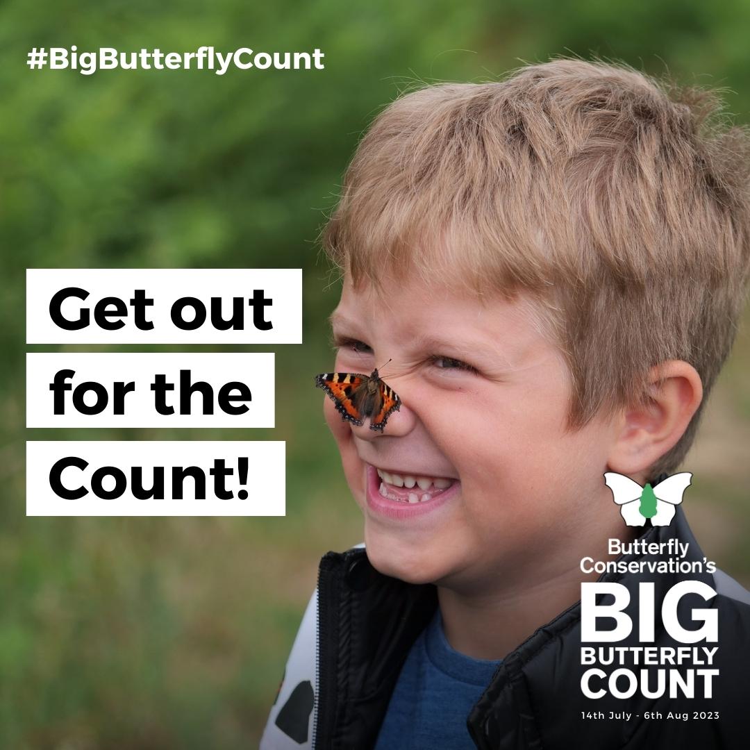 Butterfly Conservation 🦋 tweet media