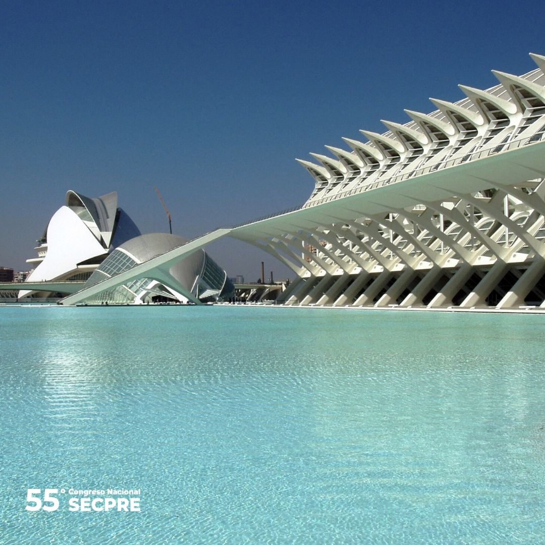 SECPREorg's tweet photo. 📢 ¡El @55secprecongres se acerca!

📚💡 Disfruta de tres días de conocimientos innovadores y discusiones apasionantes sobre Cirugía Plástica, con la presencia de expertos nacionales e internacionales.

🔗 Únete aquí: https://t.co/g83Lu9lZIU

#SECPRE #55CongresoSECPRE https://t.co/EQXo0o6vYt
