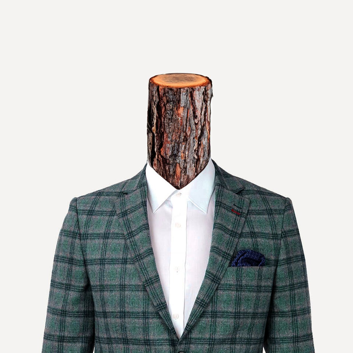 Ormanları kimler katlediyor?

Ekose ceketli kütük kafalılar.