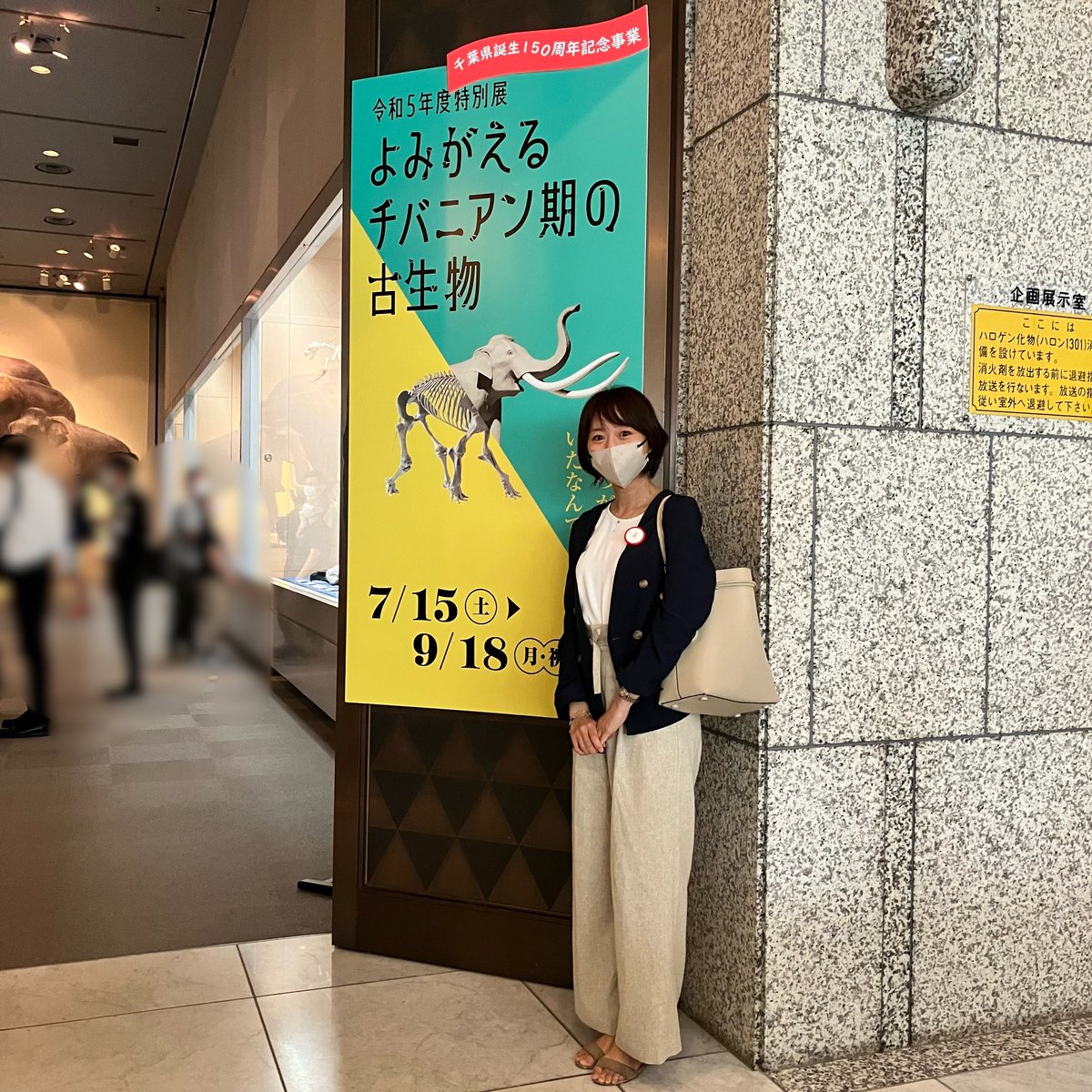 komaiayumi's tweet photo. 千葉県立中央博物館で開催中の特別展「よみがえる チバニアン期の古生物」のスマホ音声ガイドのナレーターを務めさせて頂きました。中央博物館は幼い頃からよく足を運んでいた特別な場所。大役を務めさせて頂きとても嬉しいです！かつて千葉にこんな生き物がいたんだ！と驚くはず！ぜひ中央博物館へ☺️ https://t.co/NsLIzpyAaU