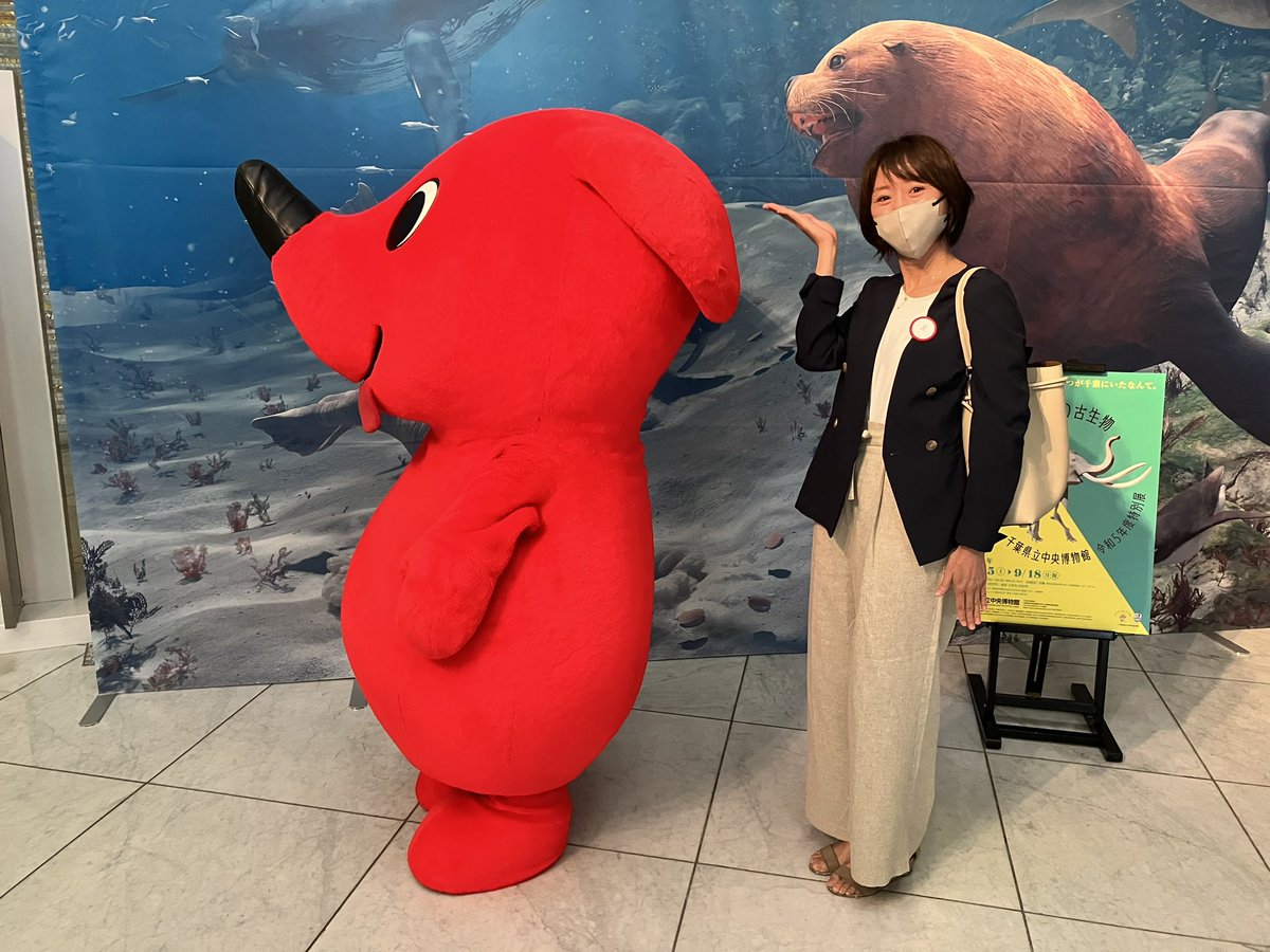 komaiayumi's tweet photo. 千葉県立中央博物館で開催中の特別展「よみがえる チバニアン期の古生物」のスマホ音声ガイドのナレーターを務めさせて頂きました。中央博物館は幼い頃からよく足を運んでいた特別な場所。大役を務めさせて頂きとても嬉しいです！かつて千葉にこんな生き物がいたんだ！と驚くはず！ぜひ中央博物館へ☺️ https://t.co/NsLIzpyAaU