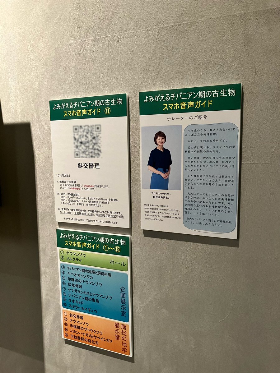 komaiayumi's tweet photo. 千葉県立中央博物館で開催中の特別展「よみがえる チバニアン期の古生物」のスマホ音声ガイドのナレーターを務めさせて頂きました。中央博物館は幼い頃からよく足を運んでいた特別な場所。大役を務めさせて頂きとても嬉しいです！かつて千葉にこんな生き物がいたんだ！と驚くはず！ぜひ中央博物館へ☺️ https://t.co/NsLIzpyAaU