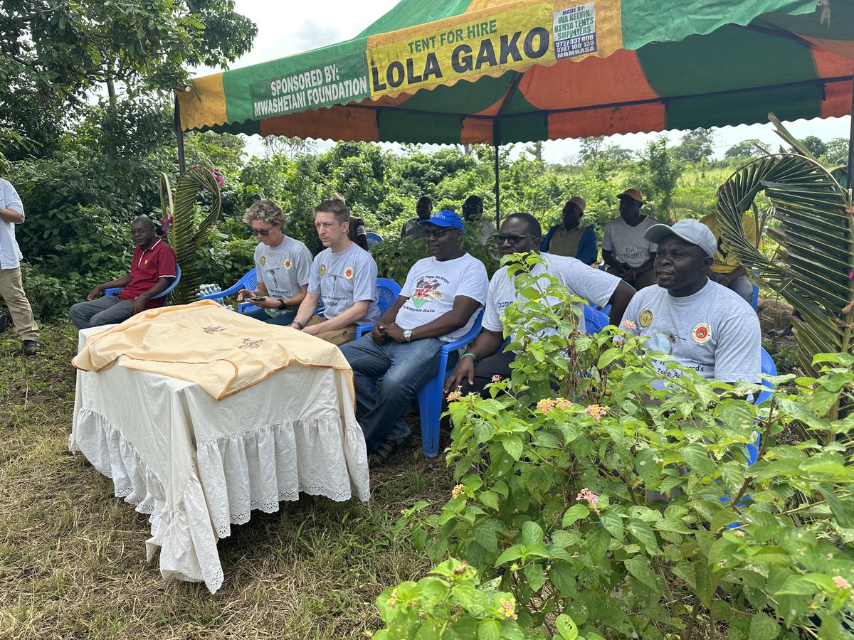 Paul Webala (@paul_webala) on Twitter photo Conservation of bats #FikiriniCaves, #SouthCoastKenya <a href="/BatConIntl/">Bat Conservation International</a> <a href="/jonrflanders/">Jon Flanders, Ph.D</a> <a href="/Evmose/">Evarastus Obura</a> Conservation of bats #FikiriniCaves, #SouthCoastKenya <a href="/BatConIntl/">Bat Conservation International</a> <a href="/jonrflanders/">Jon Flanders, Ph.D</a> <a href="/Evmose/">Evarastus Obura</a>