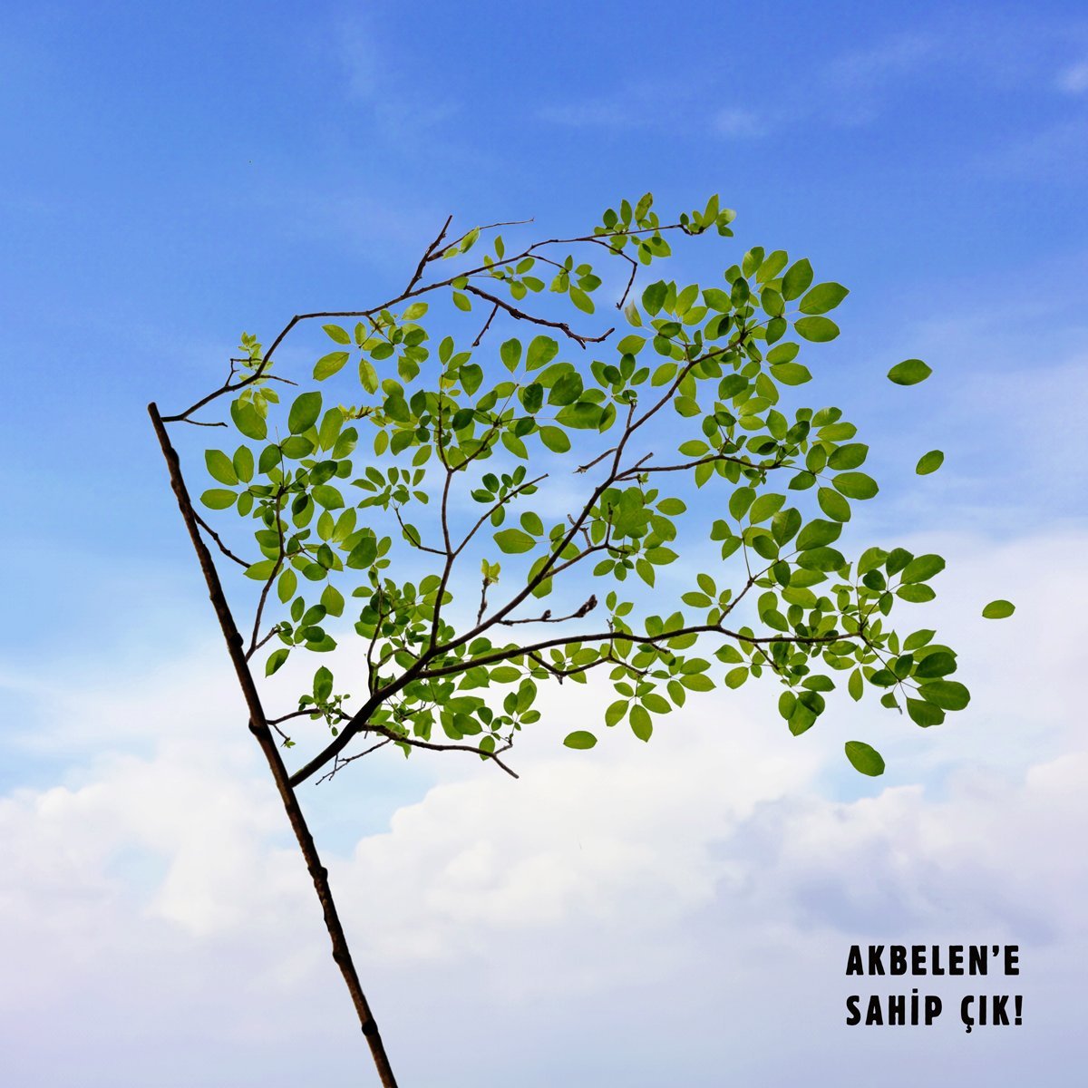 #AkbeleneDokunma diyoruz ya, bu vesile ile kömürün o kirli bilgilerini öğrenelim mi?

Çıkan külü, dağılan kükürtü, bizden çalınan parayı de değişen iklimi konuşalım mı?

Bunların adım adım nasıl geldiğini de bilelim ki işin ciddiyetini biz anlatalım.

Başlıyoruz.