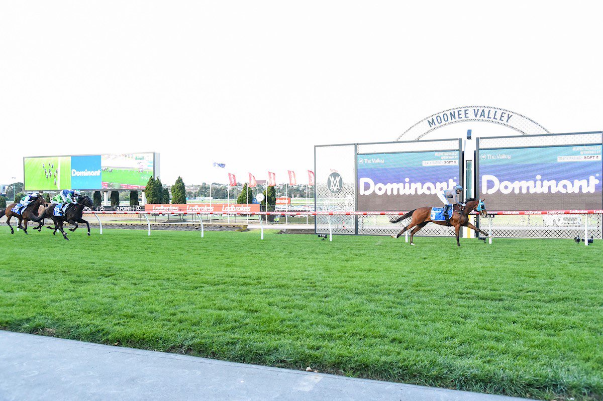 Georgia Kate tweet media