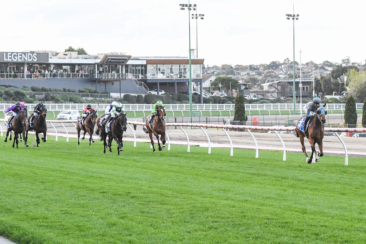 Georgia Kate tweet media