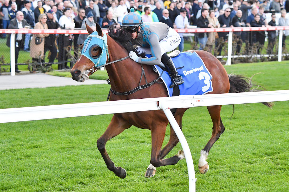 Georgia Kate tweet media