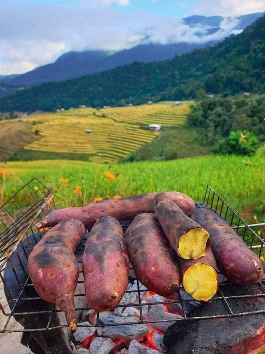 jcniyomugabo's tweet photo. Happy weekend to everyone. Can you test those sweet potatoes? https://t.co/gD39C5cH0v