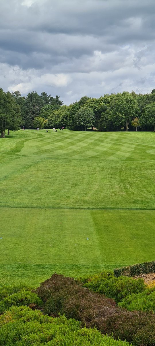 All set for Captain Noel Reids Qualifying weekend <a href="/dundalkgolfclub/">Dundalk Golf Club</a> Course staff have knocked it out of the park considering the continued poor weather! Here's hoping for some sunshine and low scoring 😎🏌‍♂️