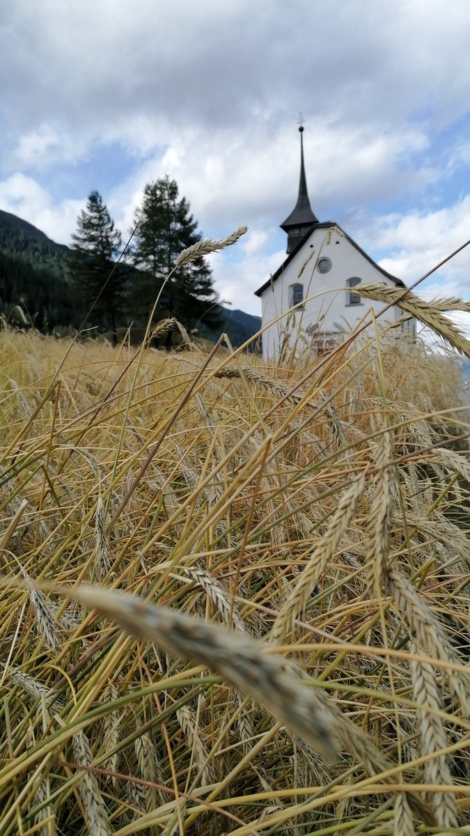 sms2sms's tweet photo. Während die Welt noch versucht, die alten Denkmuster des Komplementären Ansatzes von ((Sozialismus)Liberalismus) zu überwinden, erhebt sich am Horizont eine neue, nächste #Kulturform, die das Potential hat, das Leben wie wir es kennen, radikal zu verändern. Der #Commonismus stellt alles infrage, was wir bisher für selbstverständlich hielten: unsere Organisationen, unsere Politik, unsere Wissenschaften und unser Verständnis von Identität und Souveränität. Sind wir bereit, die Karten neu zu mischen und einen Weg zu finden, der uns über die eingetretenen Pfade des Bekannten hinausführt? Tauchen Sie ein in diese fesselnde Diskussion über die Herausforderungen und Möglichkeiten des Übergangs zu einer neuen Ära, in der Korrelation genügt und die Landkarte nicht das Land ist.”

#chatGPT4 28./29.07.2023 | https://t.co/jCCelq7VhK #morgenmeditation