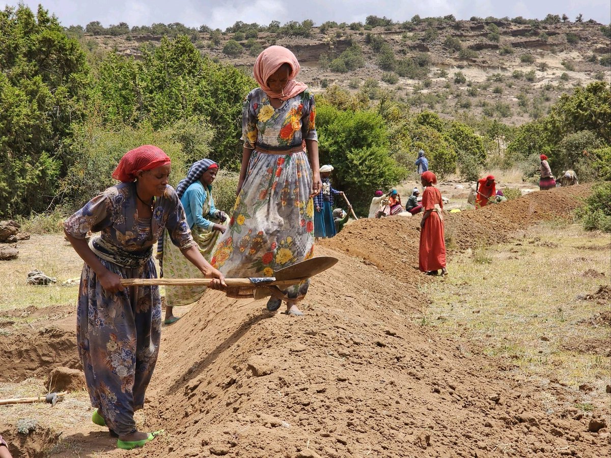 Goyteom37's tweet photo. The hard working my people of #Tigray. With the help of @WeForest_org a 4500 Ha of degraded forest land was committed to restore at Desea State Forest at Tabia Ruba Feleg of District of #Atsbi. 
#Desea #Atsbi_Wemberta

@TeklehaymanotG @FitwiDesta @AfroDendro https://t.co/cDN9tC1IE8