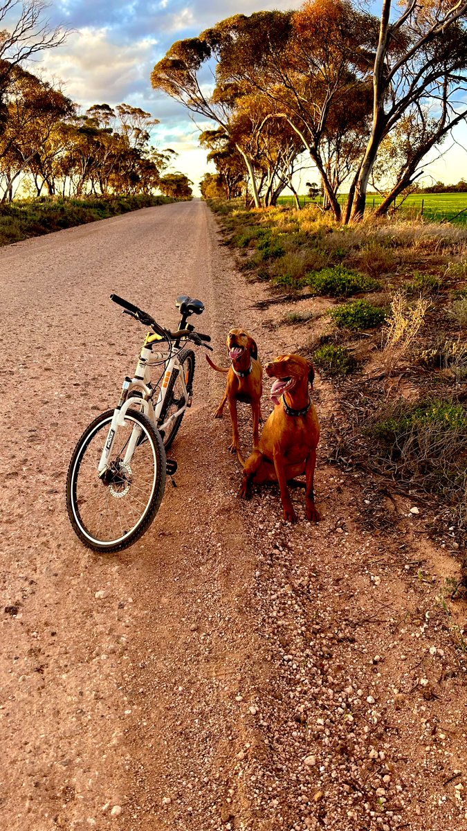 John Stevenson tweet media