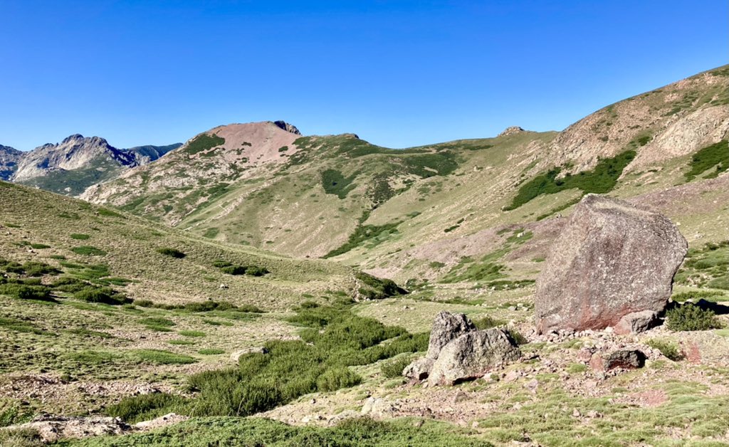 Albertini Battì tweet media