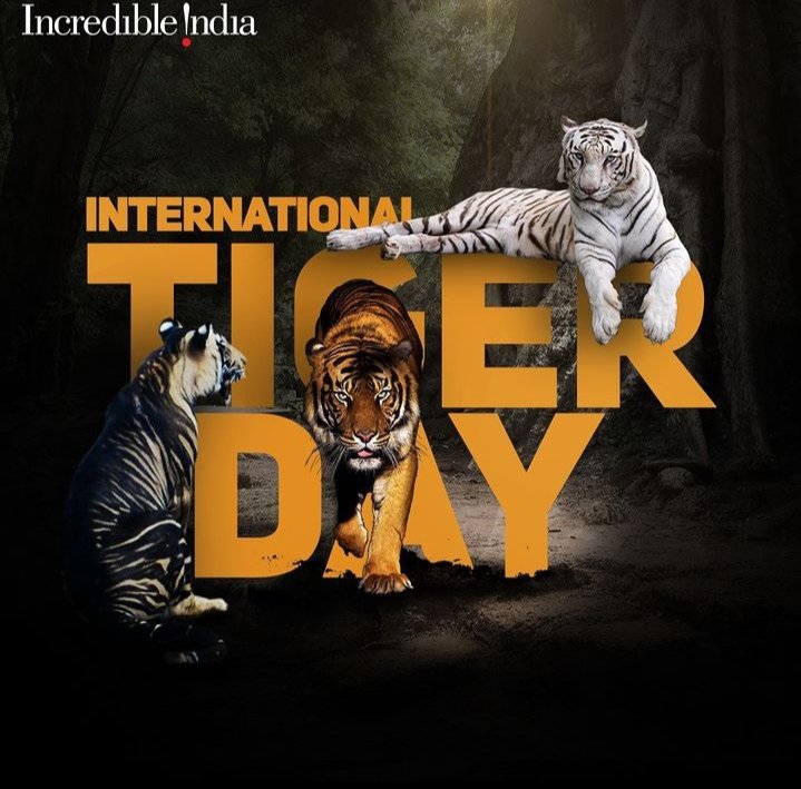 subham992246261's tweet photo. This International Tiger Day, come and meet the #WildlifeStars of India!🐯 📸
#Incredibleindia #Mylncrediblelndia #VisitIndiaYear2023 #IndiaTourism #Wildlife #Wildlifelndia #InternationalTigerDay #Tiger #WhiteTiger  #BlackTiger #ExploreIndia https://t.co/KcP2N6D5Vq