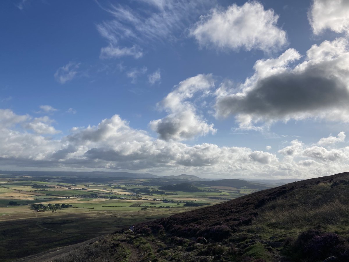 Dr David Watson tweet media