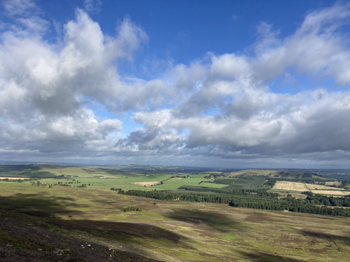 Dr David Watson tweet media