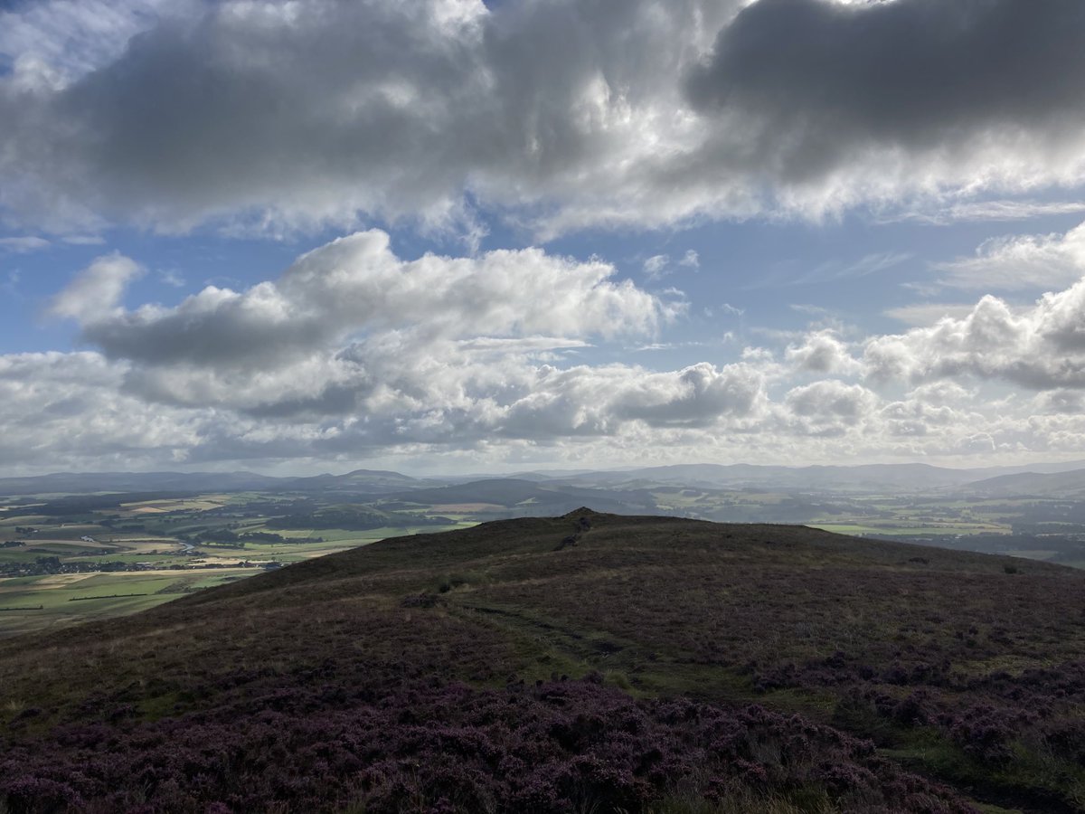 Dr David Watson tweet media