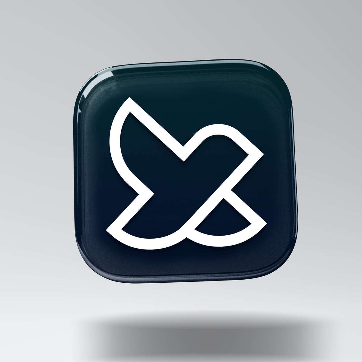 amirHiroon's tweet photo. The X Bird. https://t.co/9sealgsZpi