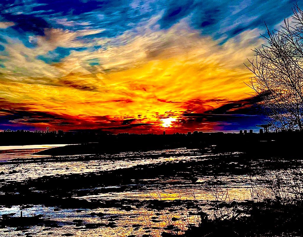 DavidHu99942866's tweet photo. @DailyPicTheme2 I am #Wishfull for every day to begin like this 🌅 https://t.co/FugSop0dHX