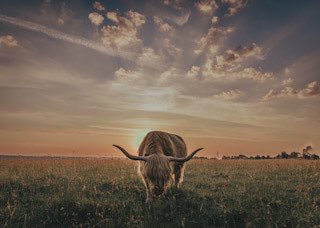 madeinstroud's tweet photo. These stunning photos by Expoja are now available in store and online as greetings cards. Link in bio #photograghy #photograph #stroud https://t.co/phVzf1H0sz