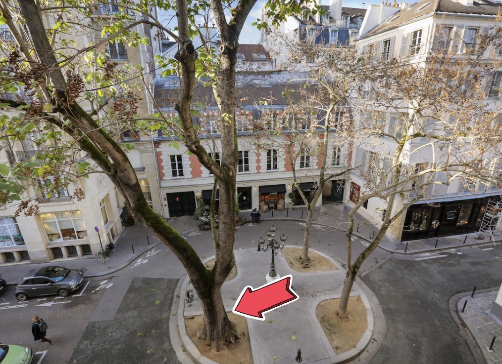 jeromegodefroy's tweet photo. Il va falloir que la mairie de @Paris nous fournisse une putain de bonne raison pour avoir abattu un gros arbre magnifique de la place de Furstenberg. https://t.co/gmKTc2T1w4