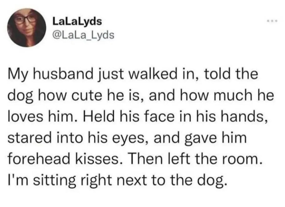 internet hall of fame (@interneth0f) on Twitter photo 