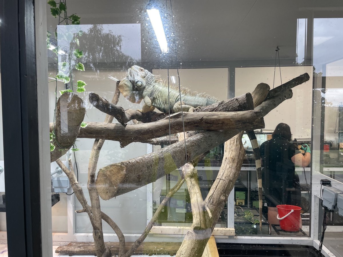 Project Handover with ⁦<a href="/ArmsonsBarlowQS/">Armsons Barlow</a>⁩ ⁦<a href="/ymdboon/">YMD Boon Ltd</a>⁩ ⁦@SMBCollegeGroup⁩ <a href="/Brooksby/">APK</a> College, great scheme and delivery from Kingfisher Construction Services #teamwork