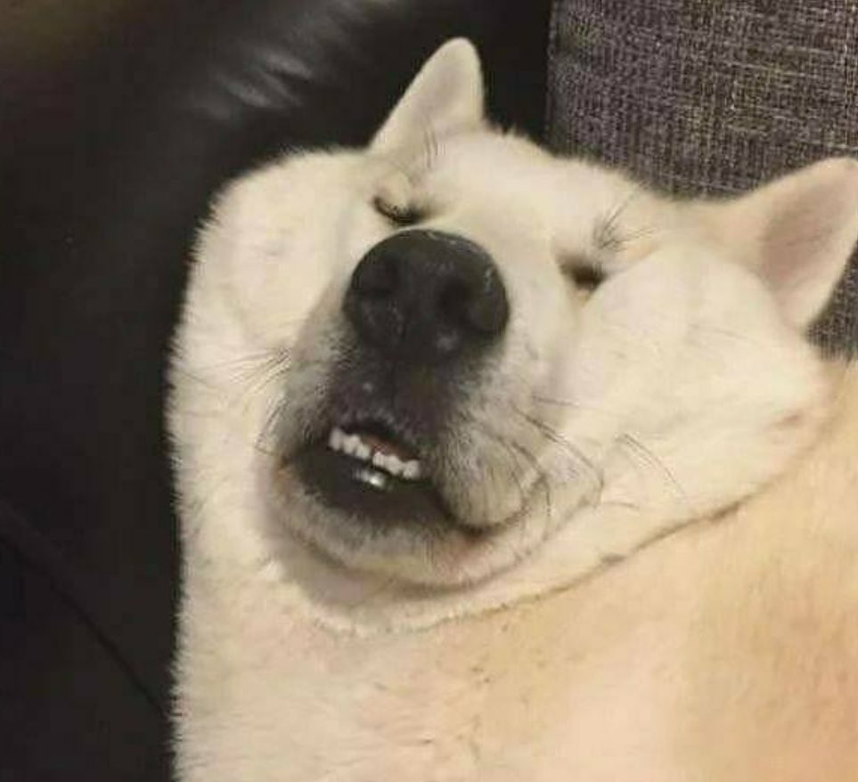 ZB1_official's tweet image. _💌

안녕하세요!김규빈입니다!!제로즈 너무 보고 싶어요..그래서 두 번째에 보고 싶은 맘을 담아 셀카 한번 찍어봤고요 리키 후드를 말 안 하고 입고 인증샷 한번 그리고 우리 빠빠씨 사진까지 아!맞다 그리고

#KIMGYUVIN #김규빈
#ZEROBASEONE #ZB1 #제로베이스원