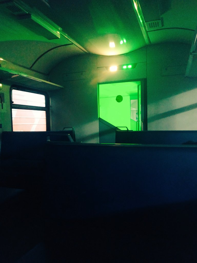 Шабадинова tweet media