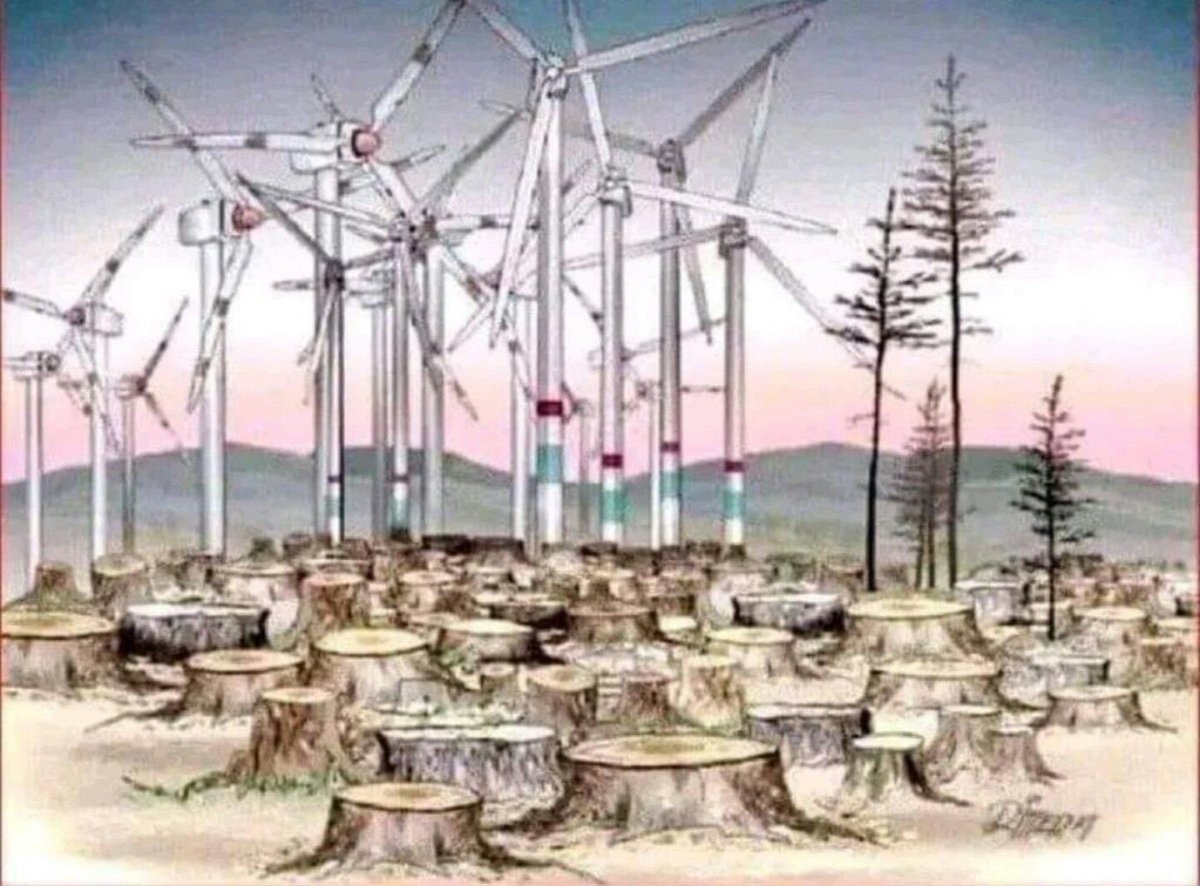 robinmonotti's tweet photo. Being a true environmentalist means seeing the lies dressed up as "green" by renewable energy corporate lobbies. Wind energy is one of those lies. In its entire cycle it is one of the most damaging forms of energy to both nature &amp; wildlife. https://t.co/QXtUY1sNvz