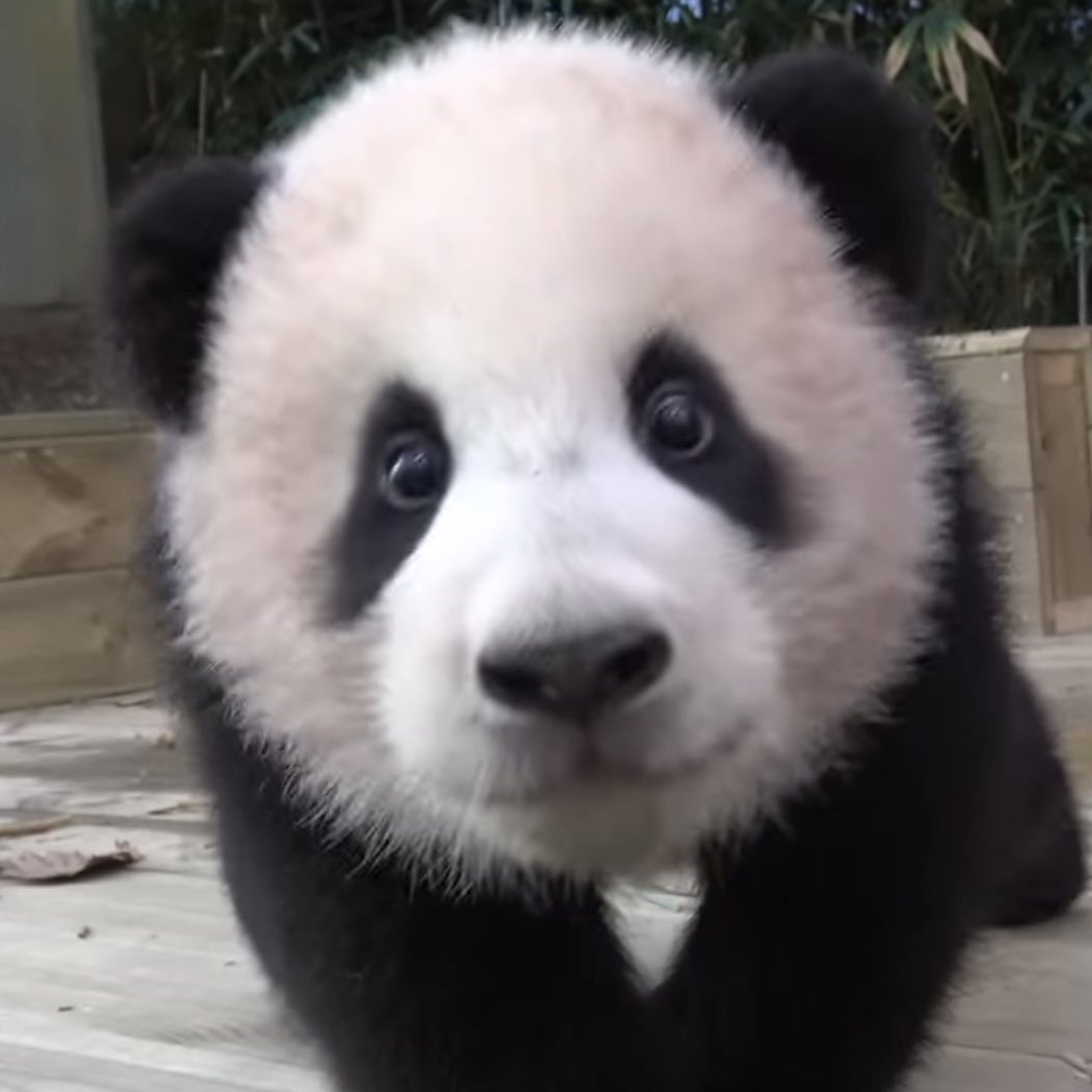 응 너 말이 맞아
일단 둘 다 귀엽잖아