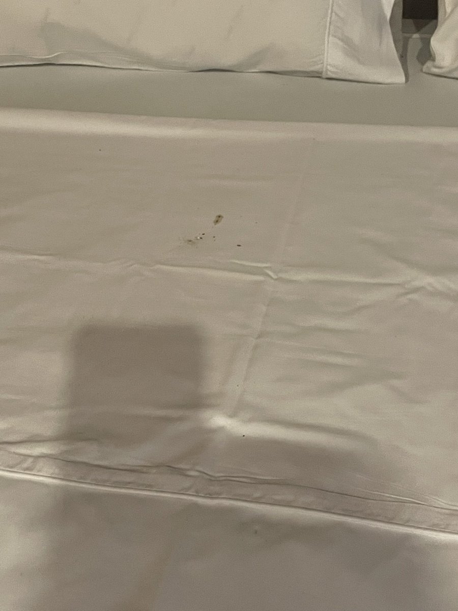 Mme Biem tweet media