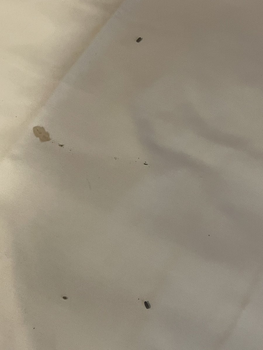 Mme Biem tweet media