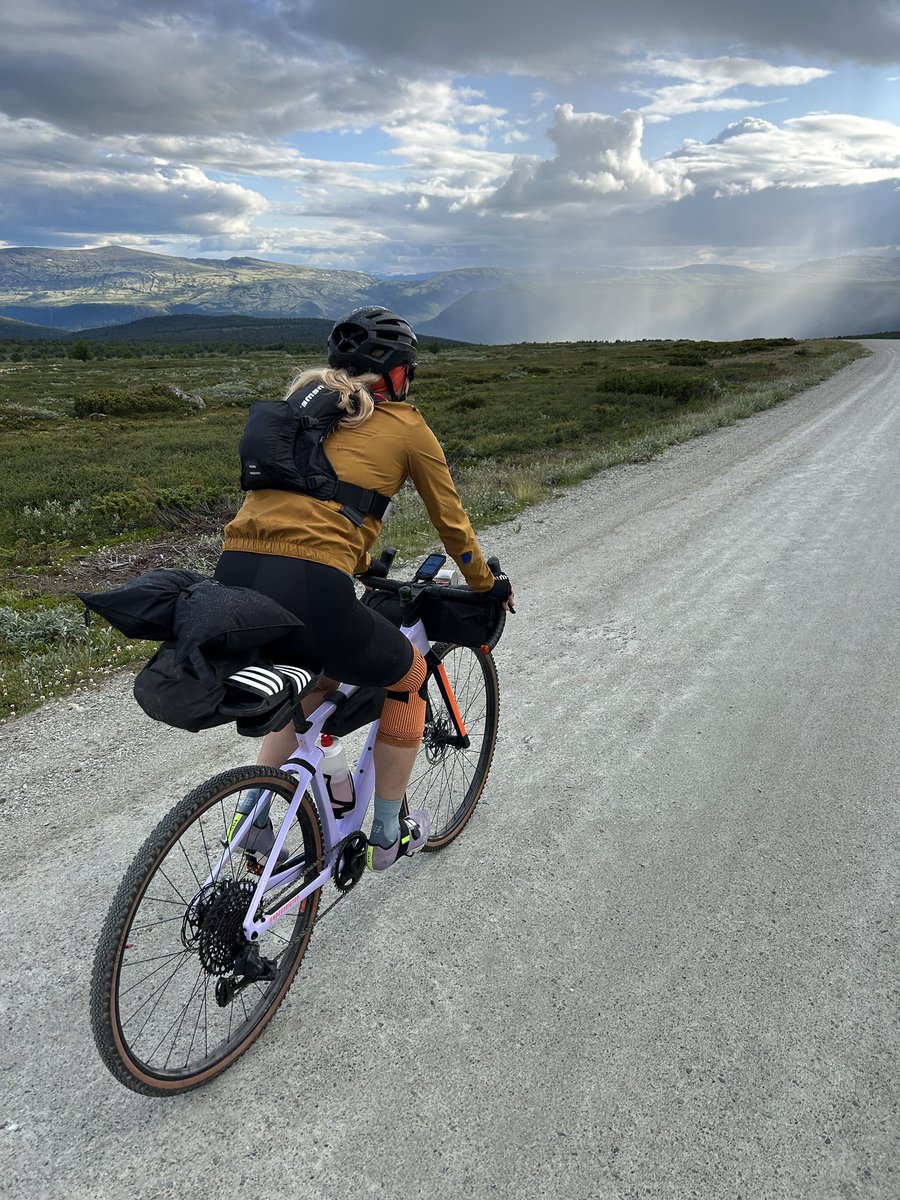 Amy Kilpin tweet media