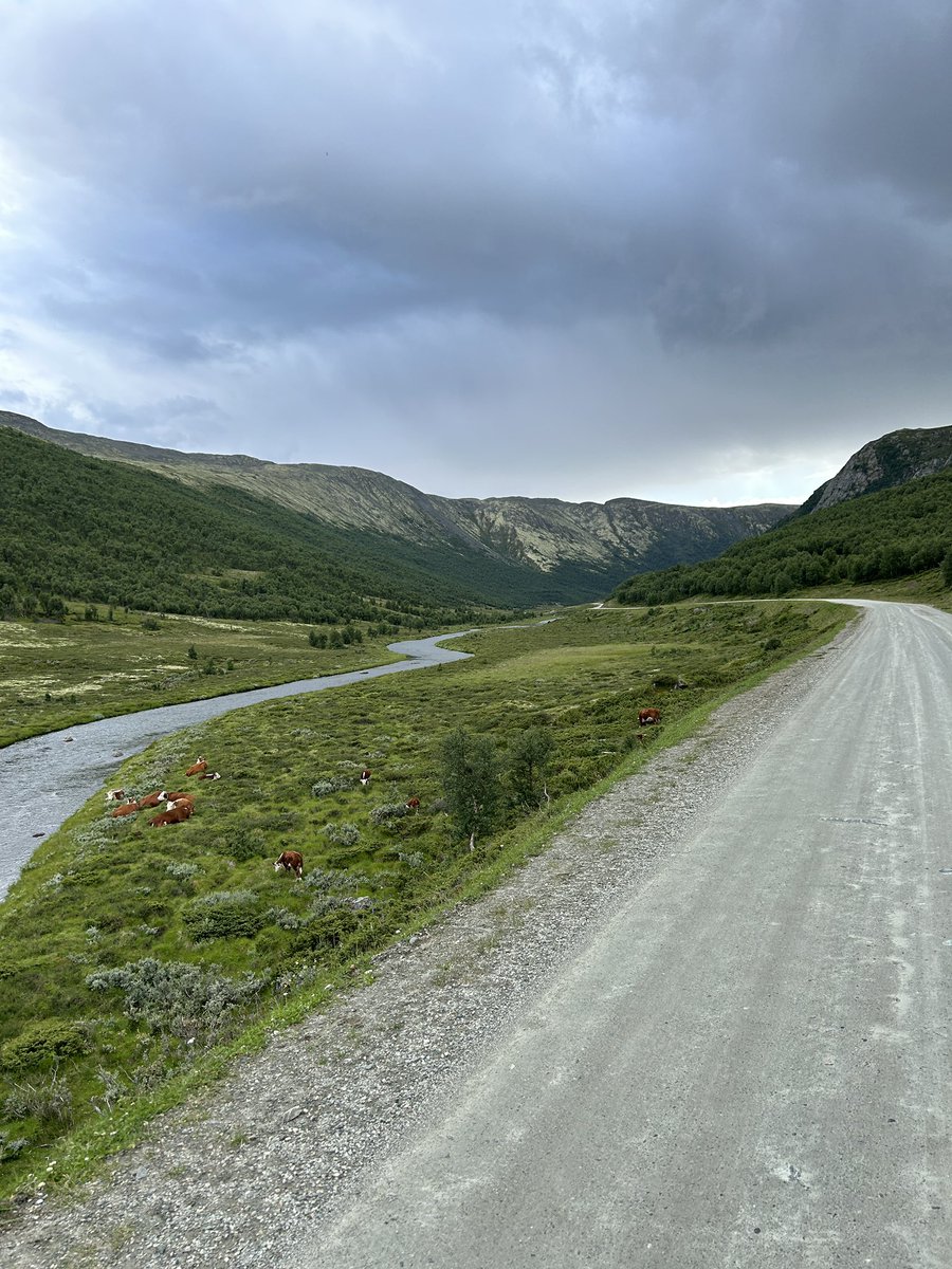 Amy Kilpin tweet media